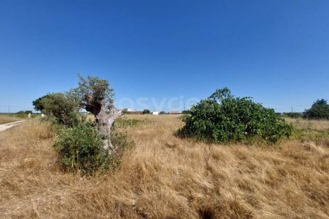 Helårsgrund i Palmela, Setubal, Palmela - € 129.000 | Ref: PN99307ES - foto 1