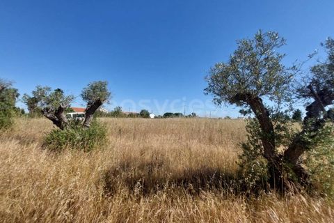 Helårsgrund i Palmela, Setubal, Palmela - € 129.000 | Ref: PN99307ES - foto 5
