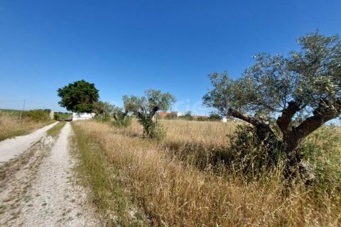 Helårsgrund i Palmela, Setubal, Palmela - € 129.000 | Ref: PN99307ES - foto 6