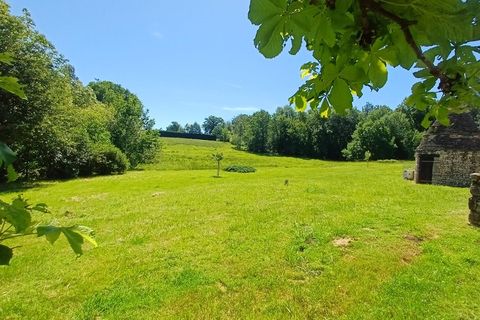 Farm hus i Thenon, Dordogne, Thenon - € 598.500 | Ref: 830032290073 - foto 3