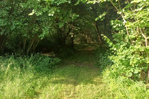 Farm hus i Thenon, Dordogne, Thenon - € 598.500 | Ref: 830032290073 - foto 8
