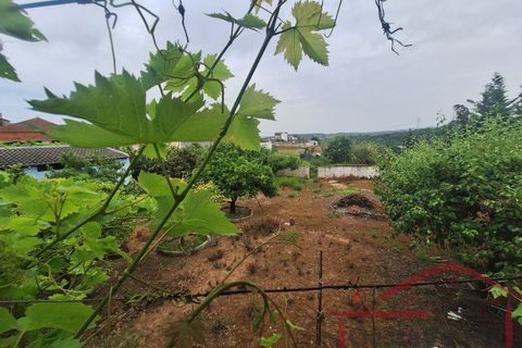 Villa i Cadaval, Lisbon, Cadaval - € 450.000 | Ref: 013-2026 - foto 39