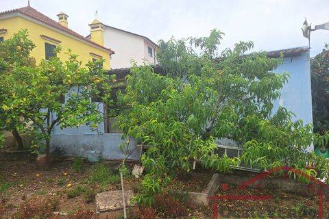 Villa i Cadaval, Lisbon, Cadaval - € 450.000 | Ref: 013-2026 - foto 41