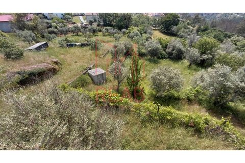 Villa i Satao, Viseu, Satao - € 130.000 | Ref: 282/ 2026 - foto 16