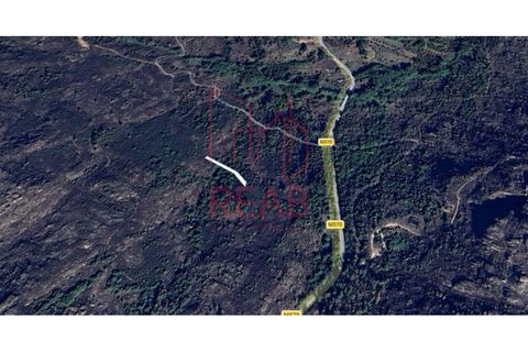 Villa i Satao, Viseu, Satao - € 130.000 | Ref: 282/ 2026 - foto 19