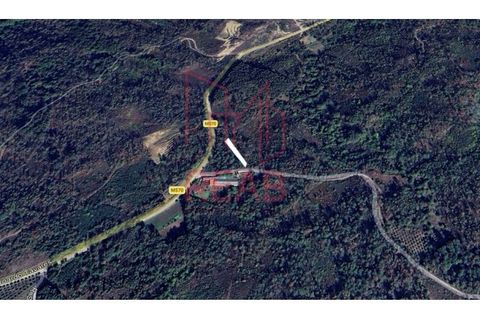 Villa i Satao, Viseu, Satao - € 130.000 | Ref: 282/ 2026 - foto 21