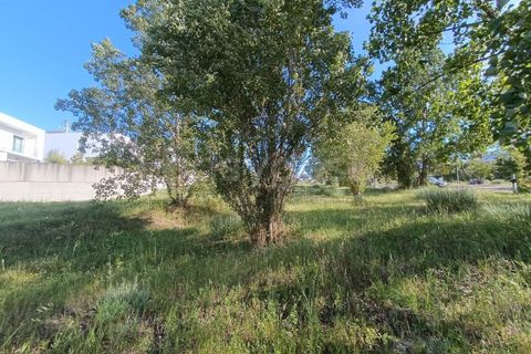 Helårsgrund i Torres Novas, Santarem, Torres Novas - € 34.000 | Ref: TM99328 - foto 1