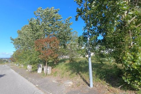 Helårsgrund i Torres Novas, Santarem, Torres Novas - € 34.000 | Ref: TM99328 - foto 5