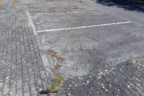 Helårsgrund i Torres Novas, Santarem, Torres Novas - € 34.000 | Ref: TM99328 - foto 9