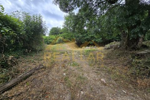 Helårsgrund i Celorico de Basto, Braga, Celorico de Basto - € 1.580.000 | Ref: RL-158-610 - foto 5