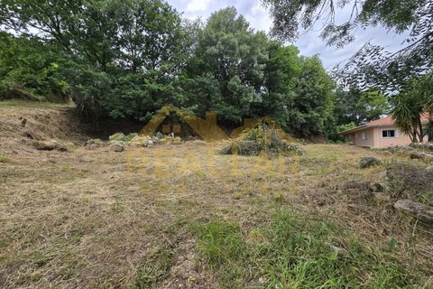 Helårsgrund i Celorico de Basto, Braga, Celorico de Basto - € 1.580.000 | Ref: RL-158-610 - foto 6