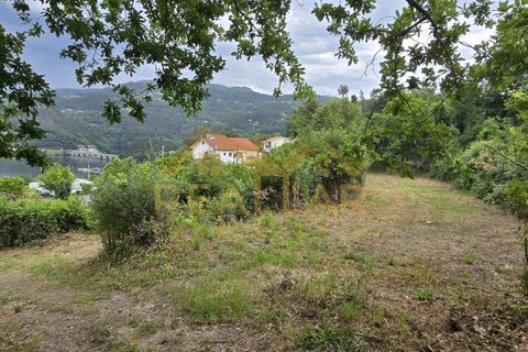 Helårsgrund i Celorico de Basto, Braga, Celorico de Basto - € 1.580.000 | Ref: RL-158-610 - foto 13