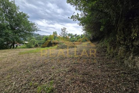 Helårsgrund i Celorico de Basto, Braga, Celorico de Basto - € 1.580.000 | Ref: RL-158-610 - foto 15