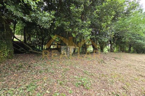 Helårsgrund i Celorico de Basto, Braga, Celorico de Basto - € 1.580.000 | Ref: RL-158-610 - foto 17