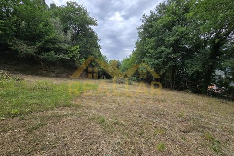 Helårsgrund i Celorico de Basto, Braga, Celorico de Basto - € 1.580.000 | Ref: RL-158-610 - foto 18
