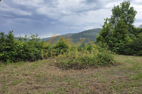 Helårsgrund i Celorico de Basto, Braga, Celorico de Basto - € 1.580.000 | Ref: RL-158-610 - foto 19