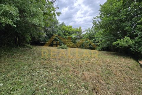 Helårsgrund i Celorico de Basto, Braga, Celorico de Basto - € 1.580.000 | Ref: RL-158-610 - foto 21