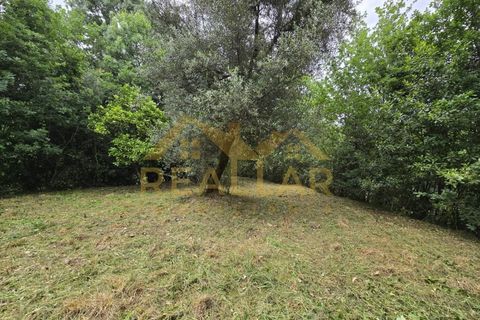 Helårsgrund i Celorico de Basto, Braga, Celorico de Basto - € 1.580.000 | Ref: RL-158-610 - foto 23