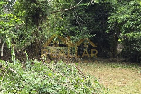 Helårsgrund i Celorico de Basto, Braga, Celorico de Basto - € 1.580.000 | Ref: RL-158-610 - foto 26