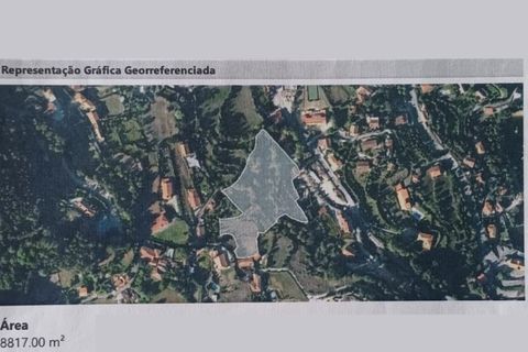 Helårsgrund i Celorico de Basto, Braga, Celorico de Basto - € 1.580.000 | Ref: RL-158-610 - foto 27