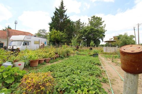 Villa i Palmela, Setubal, Palmela - € 750.000 | Ref: 1782-02437 - foto 30