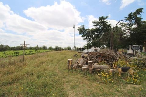 Villa i Palmela, Setubal, Palmela - € 750.000 | Ref: 1782-02437 - foto 32