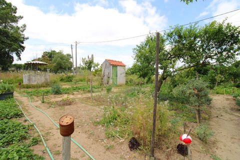 Villa i Palmela, Setubal, Palmela - € 750.000 | Ref: 1782-02437 - foto 34