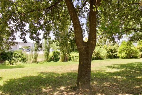 Villa i Evora, Evora, Evora - € 280 000 | Ref: C0379-01045 - foto 49