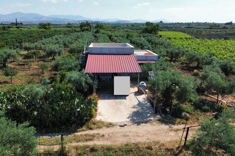 Terra a Ribera, Agrigento, Ribera - € 90.000 | Ref: T/228 - foto 2