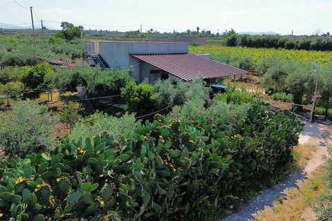Terra a Ribera, Agrigento, Ribera - € 90.000 | Ref: T/228 - foto 3
