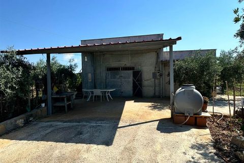 Terra a Ribera, Agrigento, Ribera - € 90.000 | Ref: T/228 - foto 10