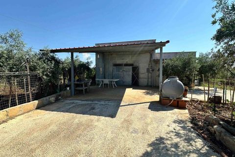 Terra a Ribera, Agrigento, Ribera - € 90.000 | Ref: T/228 - foto 11