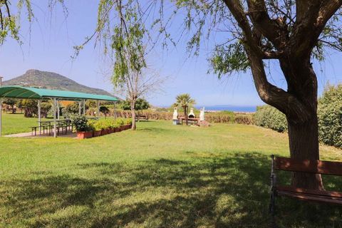 Studio i Valledoria, Sassari, Valledoria - € 69 000 | Ref: V000931 - foto 14