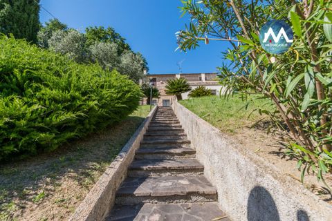 Villa a Torgiano, Perugia, Torgiano - € 425.000 | Ref: 3926 - foto 22