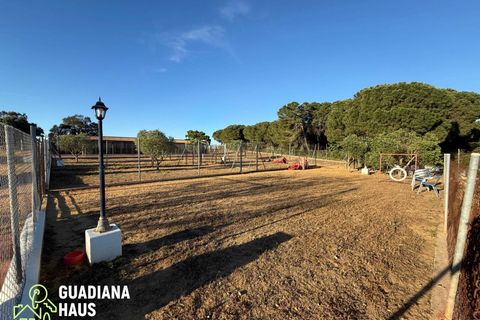 Landejendom i Lepe, Huelva, Lepe - € 690.000 | Ref: 567/11122 - foto 12