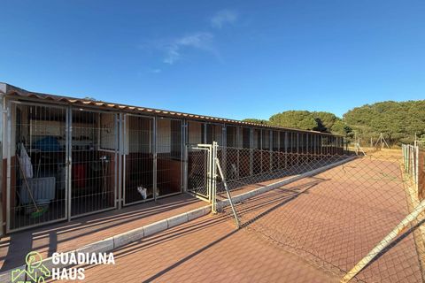 Landejendom i Lepe, Huelva, Lepe - € 690.000 | Ref: 567/11122 - foto 14