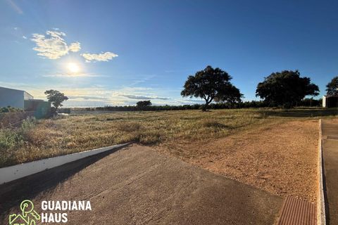 Landejendom i Lepe, Huelva, Lepe - € 690.000 | Ref: 567/11122 - foto 15