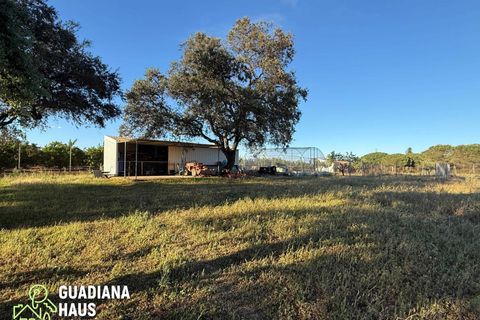 Landejendom i Lepe, Huelva, Lepe - € 690.000 | Ref: 567/11122 - foto 17