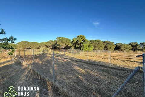 Landejendom i Lepe, Huelva, Lepe - € 690.000 | Ref: 567/11122 - foto 19