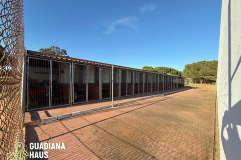 Landejendom i Lepe, Huelva, Lepe - € 690.000 | Ref: 567/11122 - foto 23