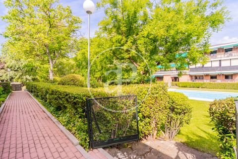 Leilighet i Madrid, Madrid, Madrid - € 1 150 000 | Ref: VMN2606001 - foto 42