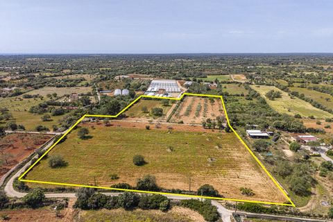 Landejendom i Llucmajor, Mallorca, Llucmajor - € 399.900 | Ref: 13ARJS042/3010 - foto 1