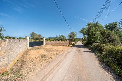 Landejendom i Llucmajor, Mallorca, Llucmajor - € 399.900 | Ref: 13ARJS042/3010 - foto 3