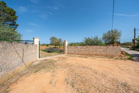 Landejendom i Llucmajor, Mallorca, Llucmajor - € 399.900 | Ref: 13ARJS042/3010 - foto 6