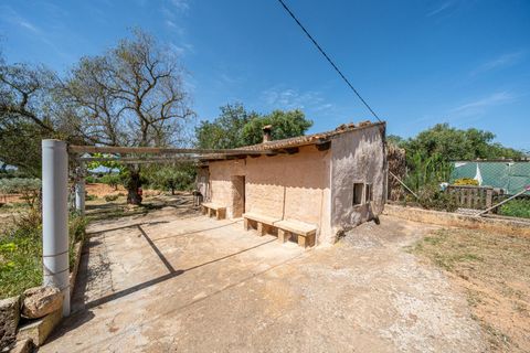 Landejendom i Llucmajor, Mallorca, Llucmajor - € 399.900 | Ref: 13ARJS042/3010 - foto 13