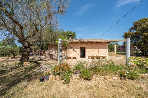 Landejendom i Llucmajor, Mallorca, Llucmajor - € 399.900 | Ref: 13ARJS042/3010 - foto 14