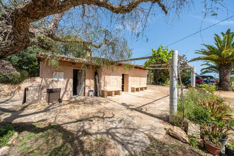 Landejendom i Llucmajor, Mallorca, Llucmajor - € 399.900 | Ref: 13ARJS042/3010 - foto 15