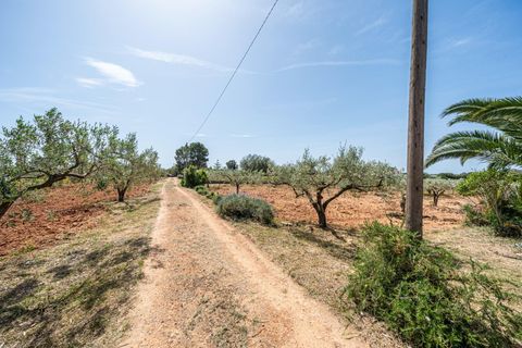 Landejendom i Llucmajor, Mallorca, Llucmajor - € 399.900 | Ref: 13ARJS042/3010 - foto 17