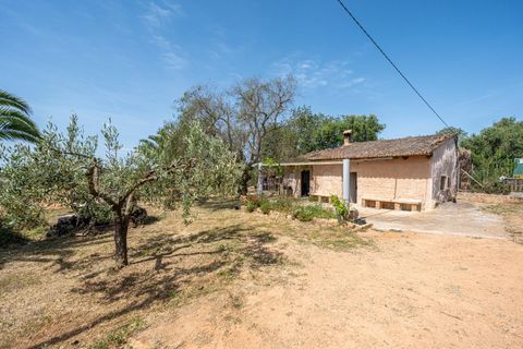 Landejendom i Llucmajor, Mallorca, Llucmajor - € 399.900 | Ref: 13ARJS042/3010 - foto 18