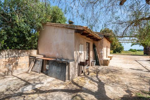 Landejendom i Llucmajor, Mallorca, Llucmajor - € 399.900 | Ref: 13ARJS042/3010 - foto 19